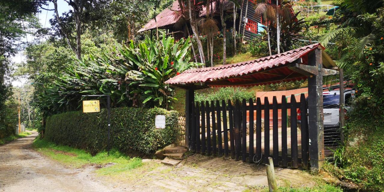 Bosque De Niebla Birding & Nature 칼리 외부 사진