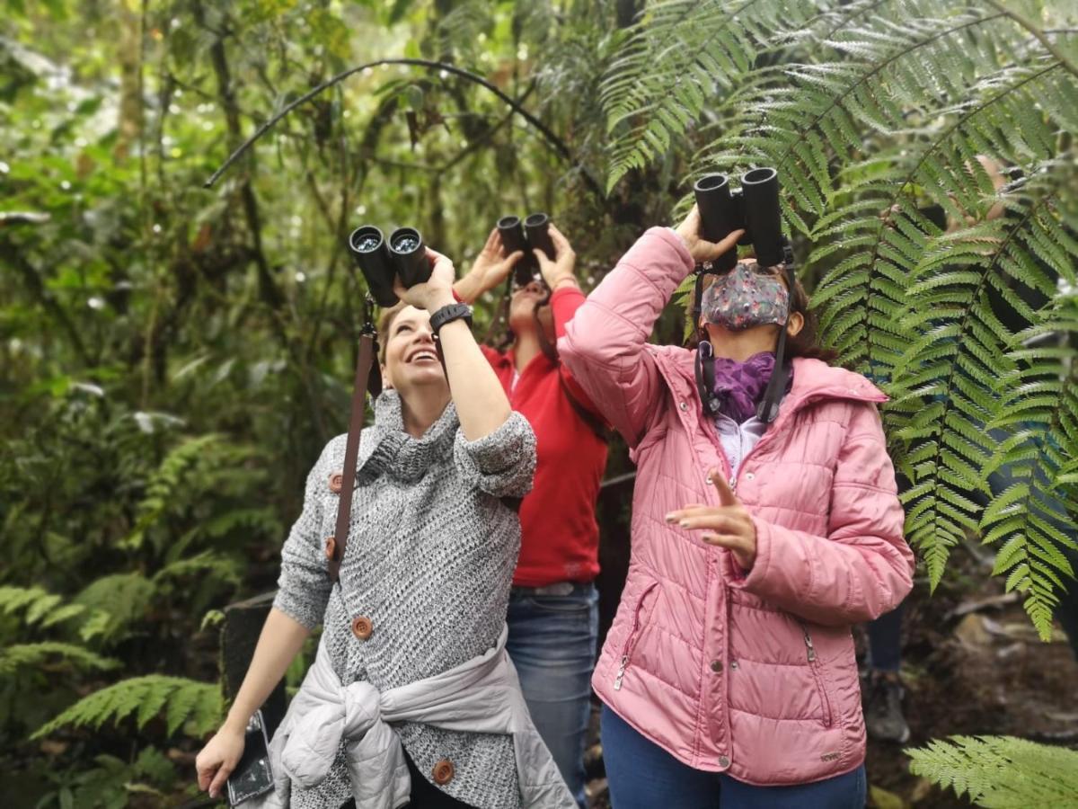 Bosque De Niebla Birding & Nature 칼리 외부 사진