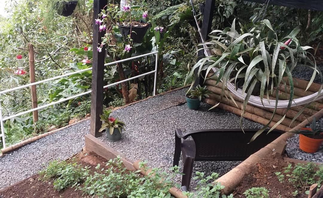 Bosque De Niebla Birding & Nature 칼리 외부 사진