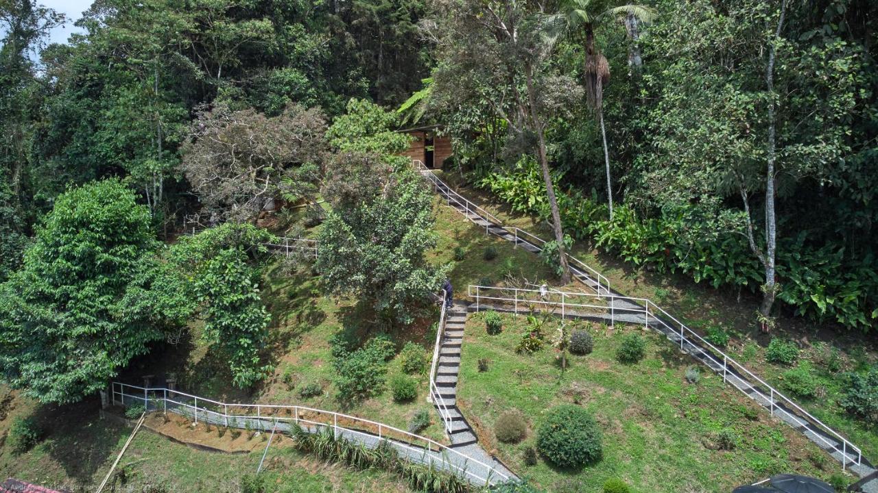 Bosque De Niebla Birding & Nature 칼리 외부 사진