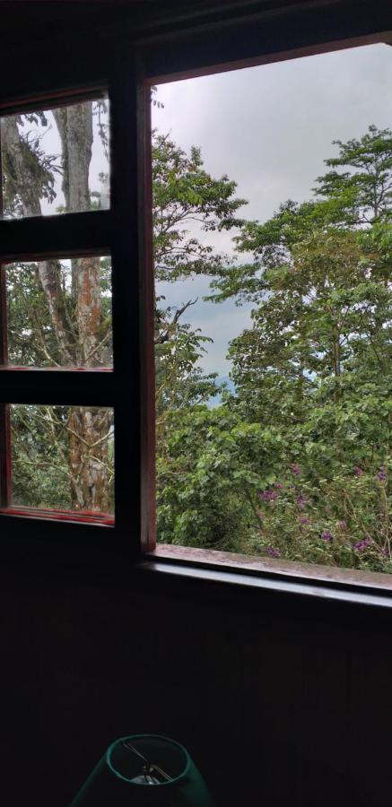 Bosque De Niebla Birding & Nature 칼리 외부 사진