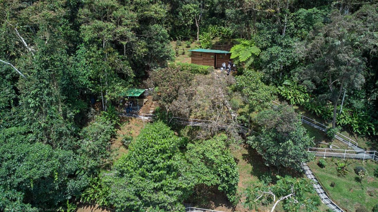 Bosque De Niebla Birding & Nature 칼리 외부 사진