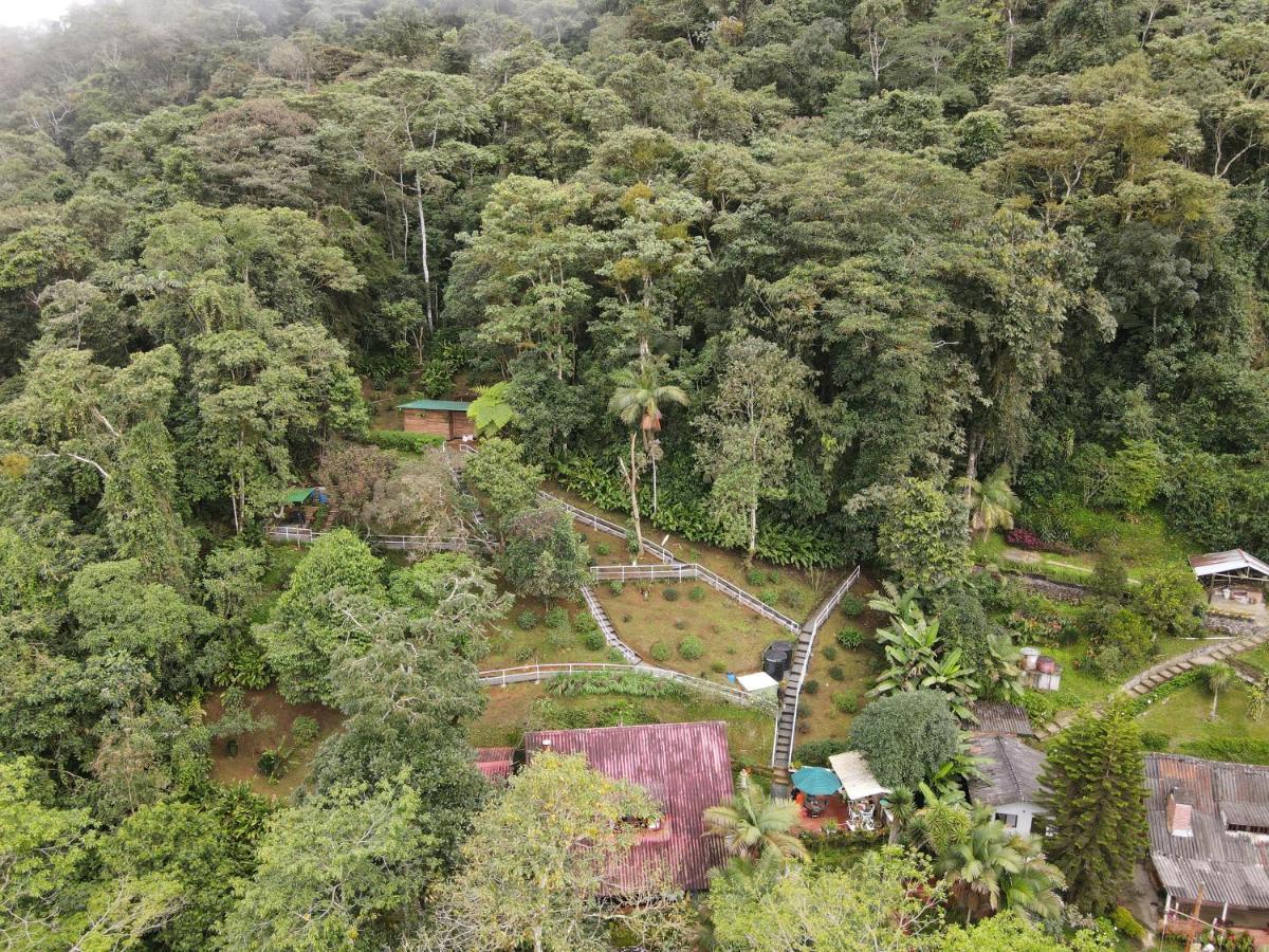 Bosque De Niebla Birding & Nature 칼리 외부 사진